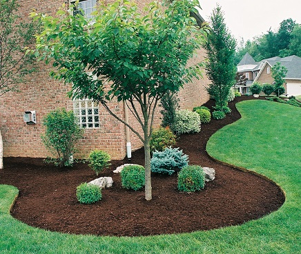 Landscaping Rochester ny